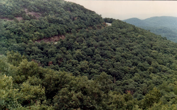 Blue Ridge Mountain scenery